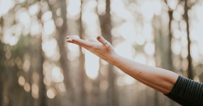 IV Hydration & Vitamin Therapy